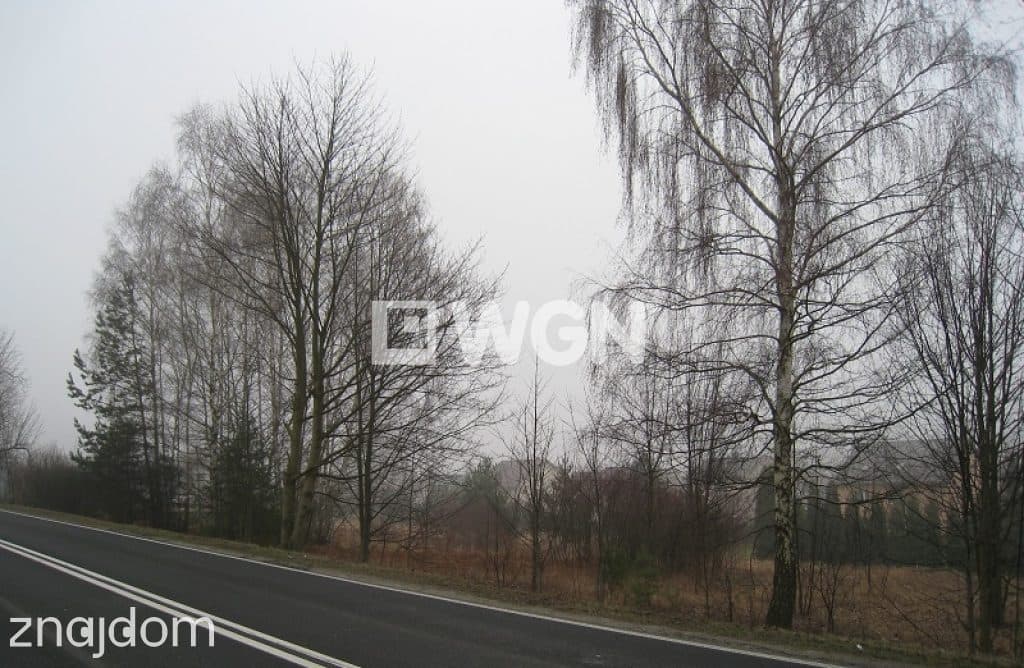 Grunt bez warunków zabudowy na sprzedaż Chrzanów - Atrakcyjna działka w Chrzanowie przy DK-79 - zdjęcie 4