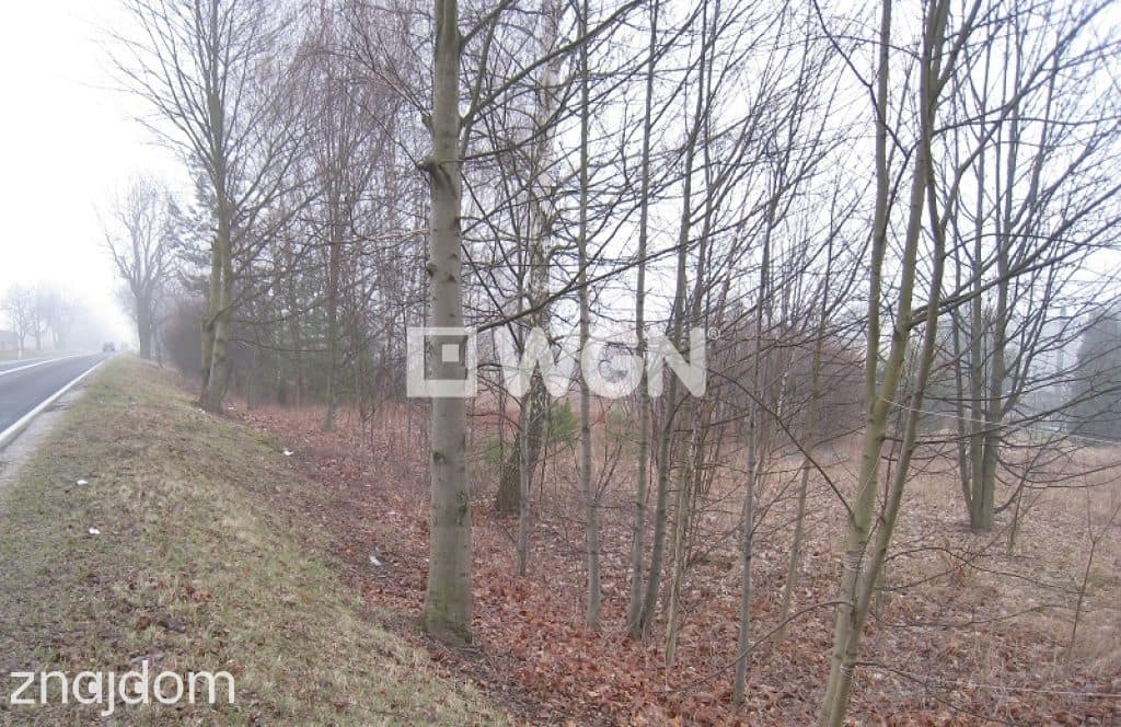 Grunt bez warunków zabudowy na sprzedaż Chrzanów - Atrakcyjna działka w Chrzanowie przy DK-79