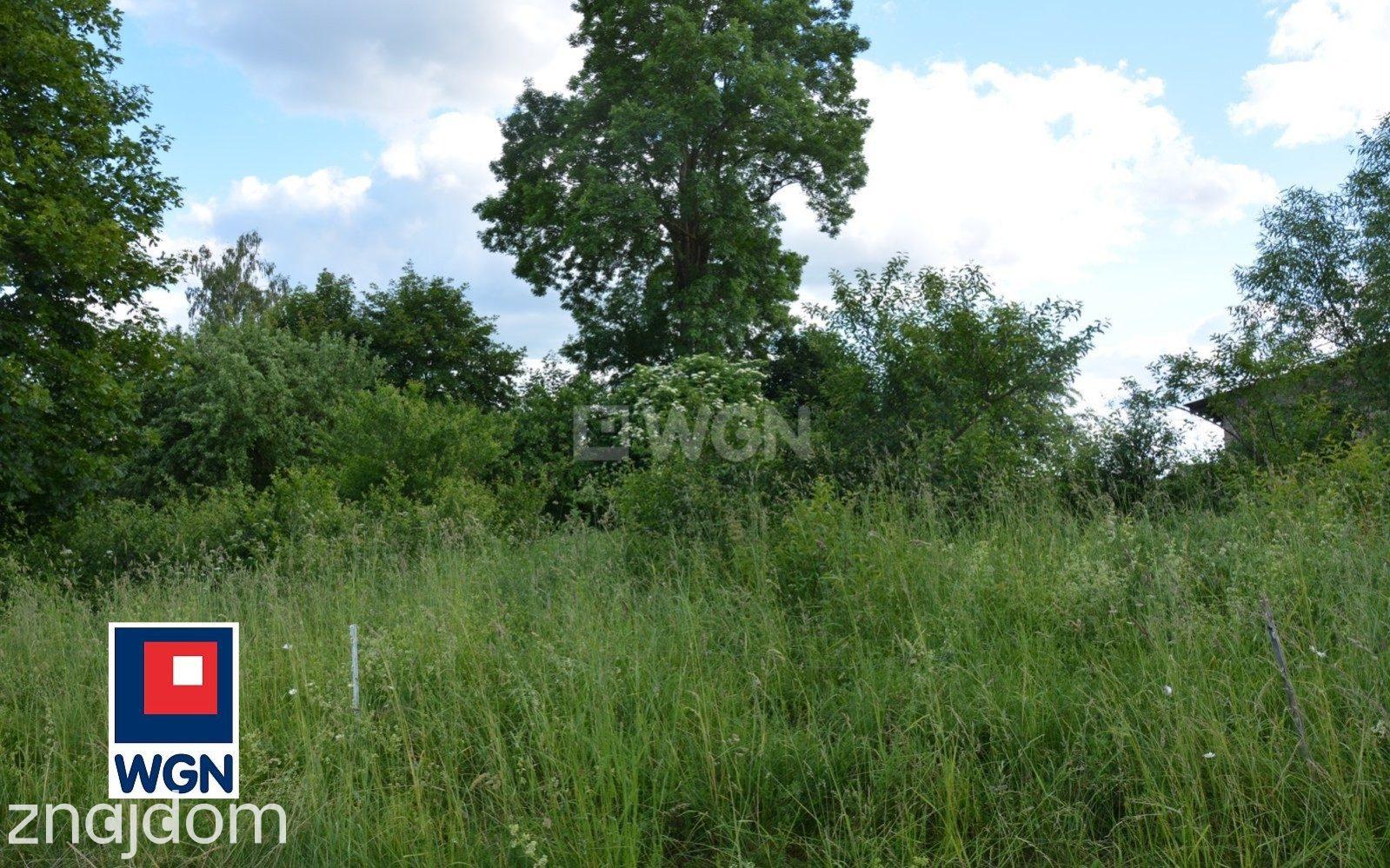 Działka na sprzedaż Dzięgiele Oleckie - zdjęcie 2