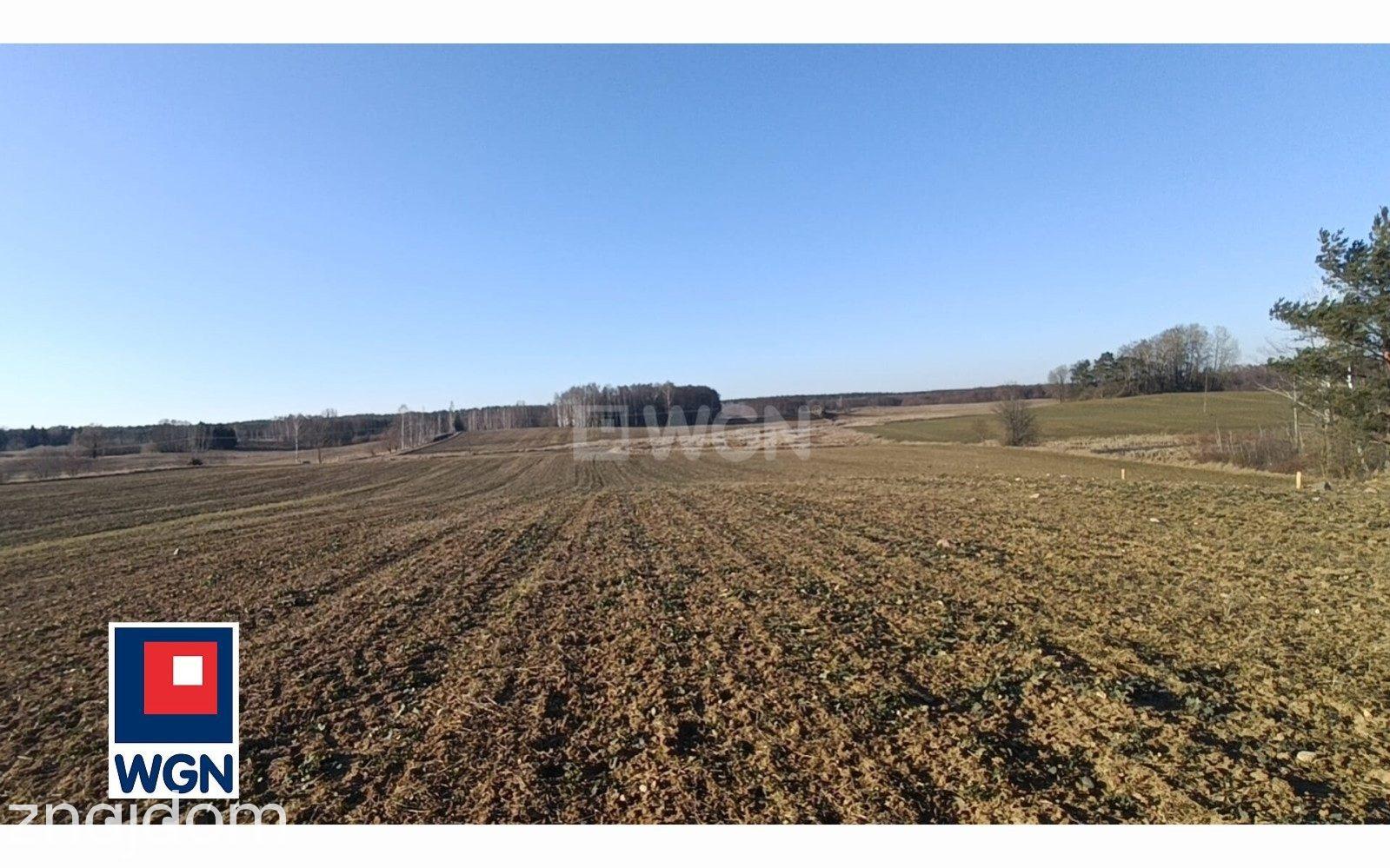 Działka na sprzedaż Lepaki Wielkie - zdjęcie 7