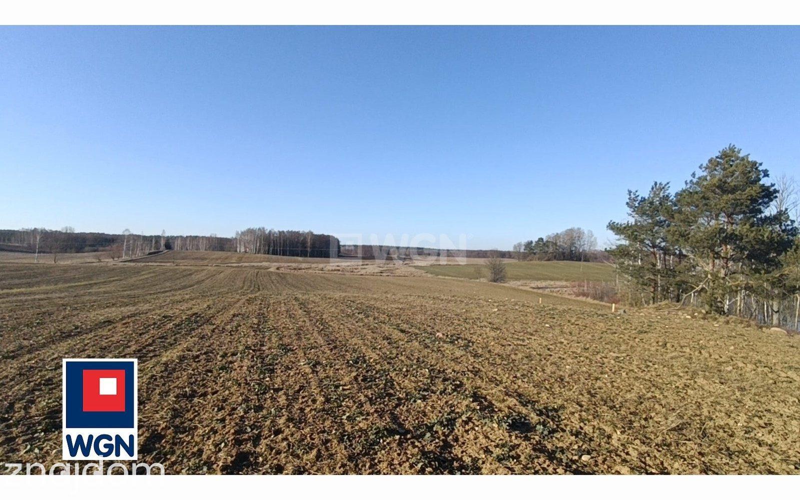 Działka na sprzedaż Lepaki Wielkie - zdjęcie 6