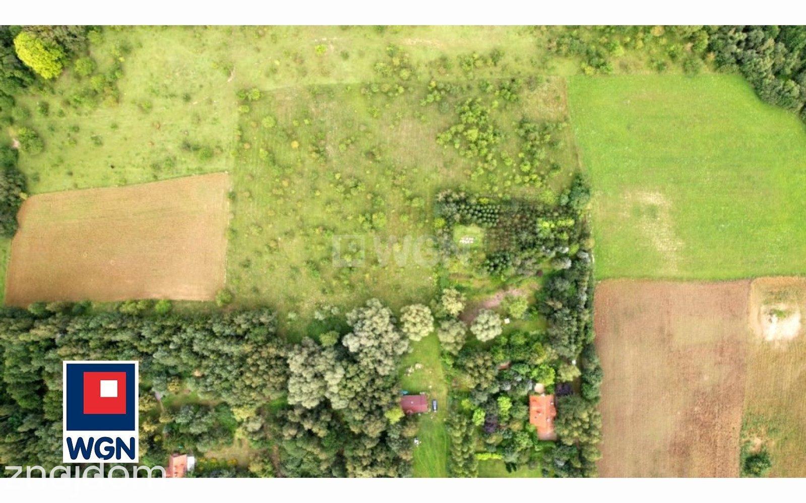 Działka na sprzedaż Sikory Juskie - zdjęcie 2