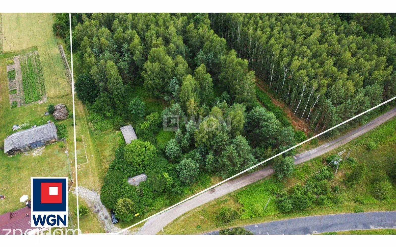 Grunt rolny na sprzedaż Świerszczów - Działka rolna | zalesiona | z pozostałością siedliska, powierzchnia 4,26 ha, Świerszczów, gm. Cyców. - zdjęcie 5