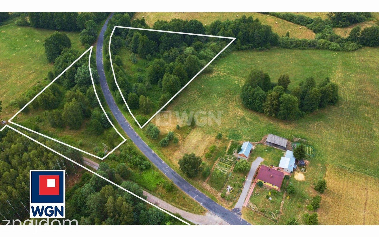 Grunt rolny na sprzedaż Świerszczów - Działka rolna | zalesiona | z pozostałością siedliska, powierzchnia 4,26 ha, Świerszczów, gm. Cyców. - zdjęcie 4