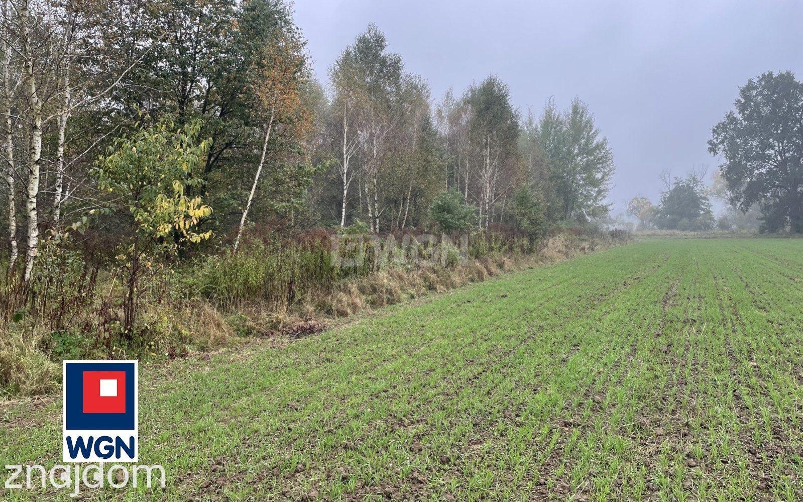 Działka na sprzedaż Sieraków - zdjęcie 13