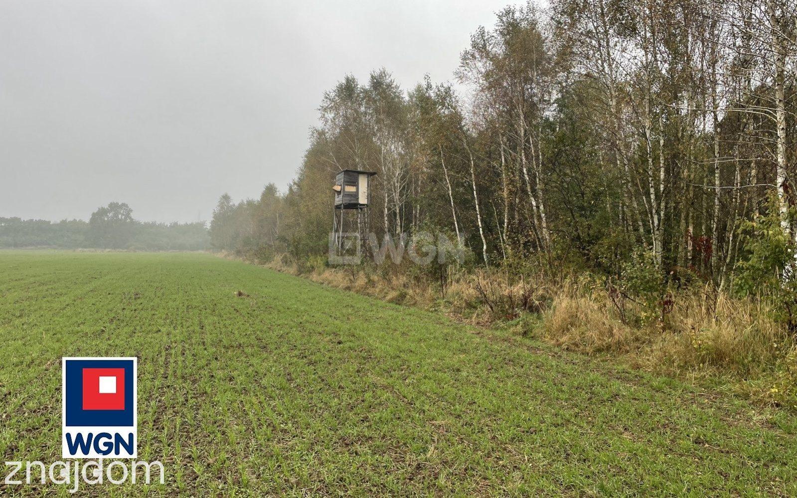 Działka na sprzedaż Sieraków - zdjęcie 12