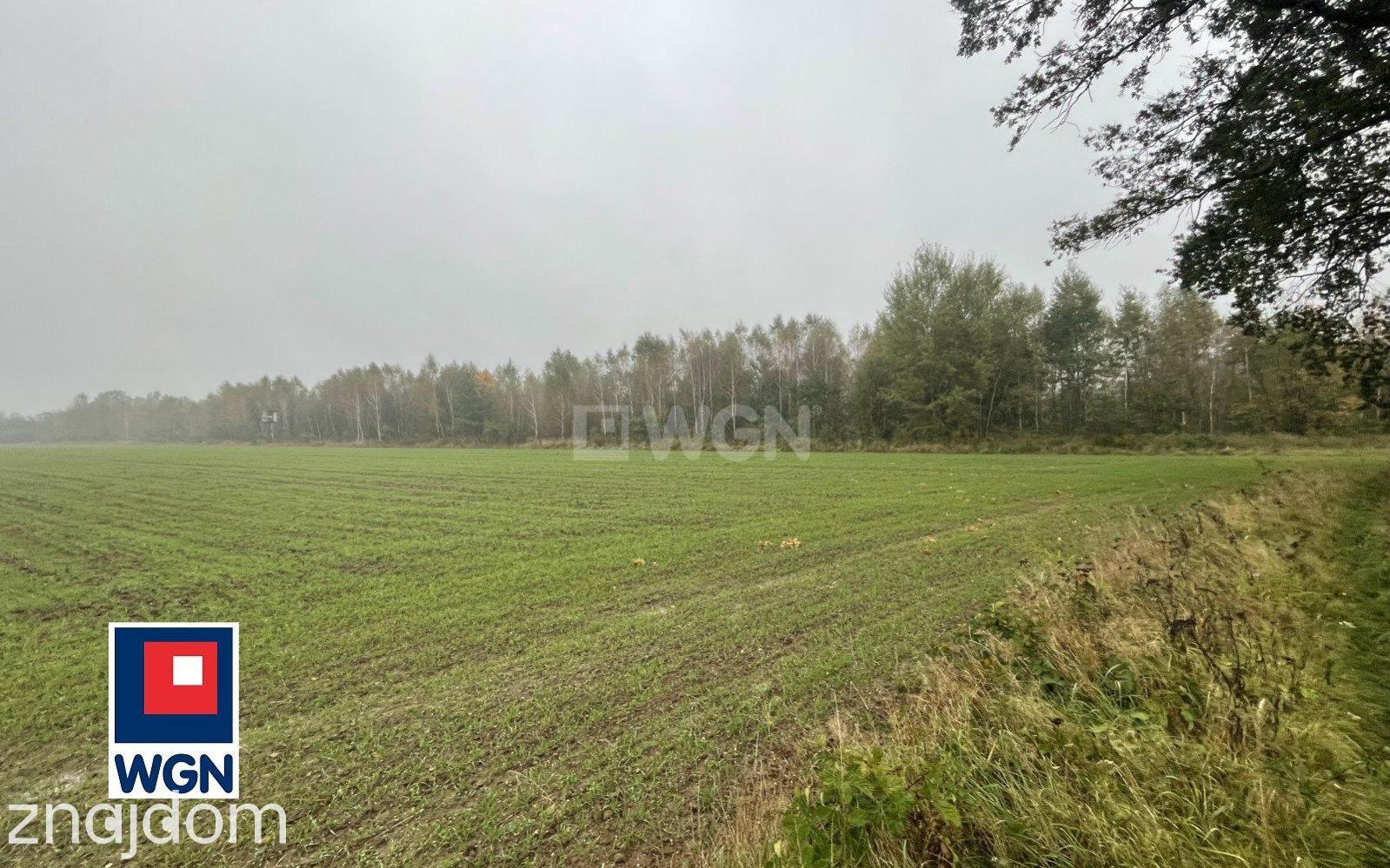 Działka na sprzedaż Sieraków - zdjęcie 11