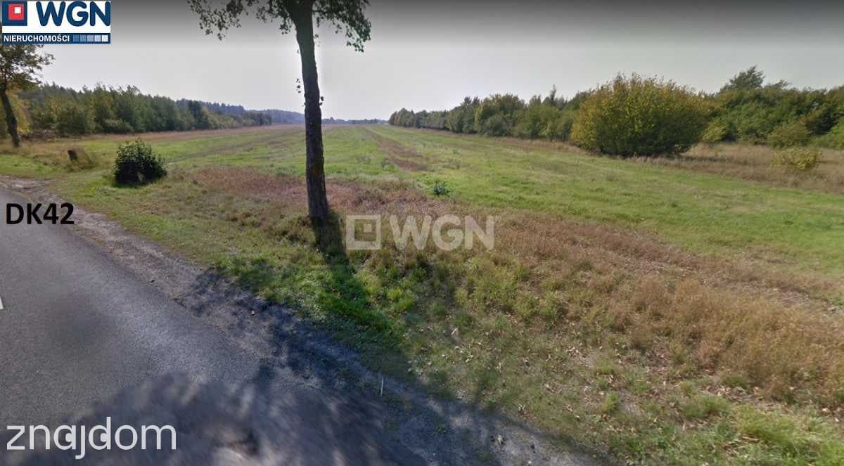 Działka na sprzedaż Pajęczno - zdjęcie 1