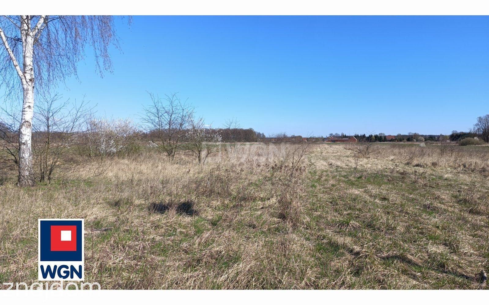 Działka na sprzedaż Przemków - zdjęcie 5