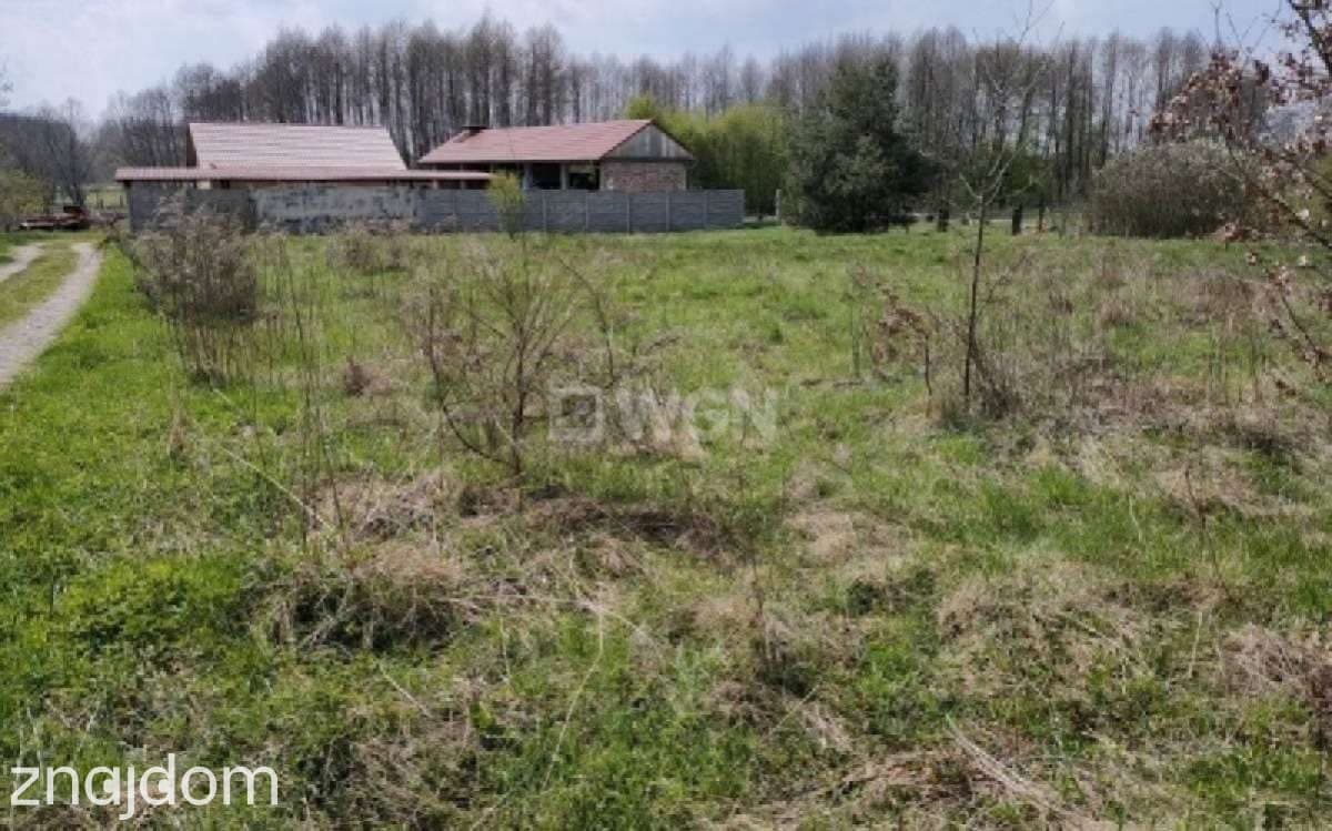 Grunt budowlany jednorodzinny na sprzedaż Stara Kopernia - Działki na sprzedaż - zdjęcie 3