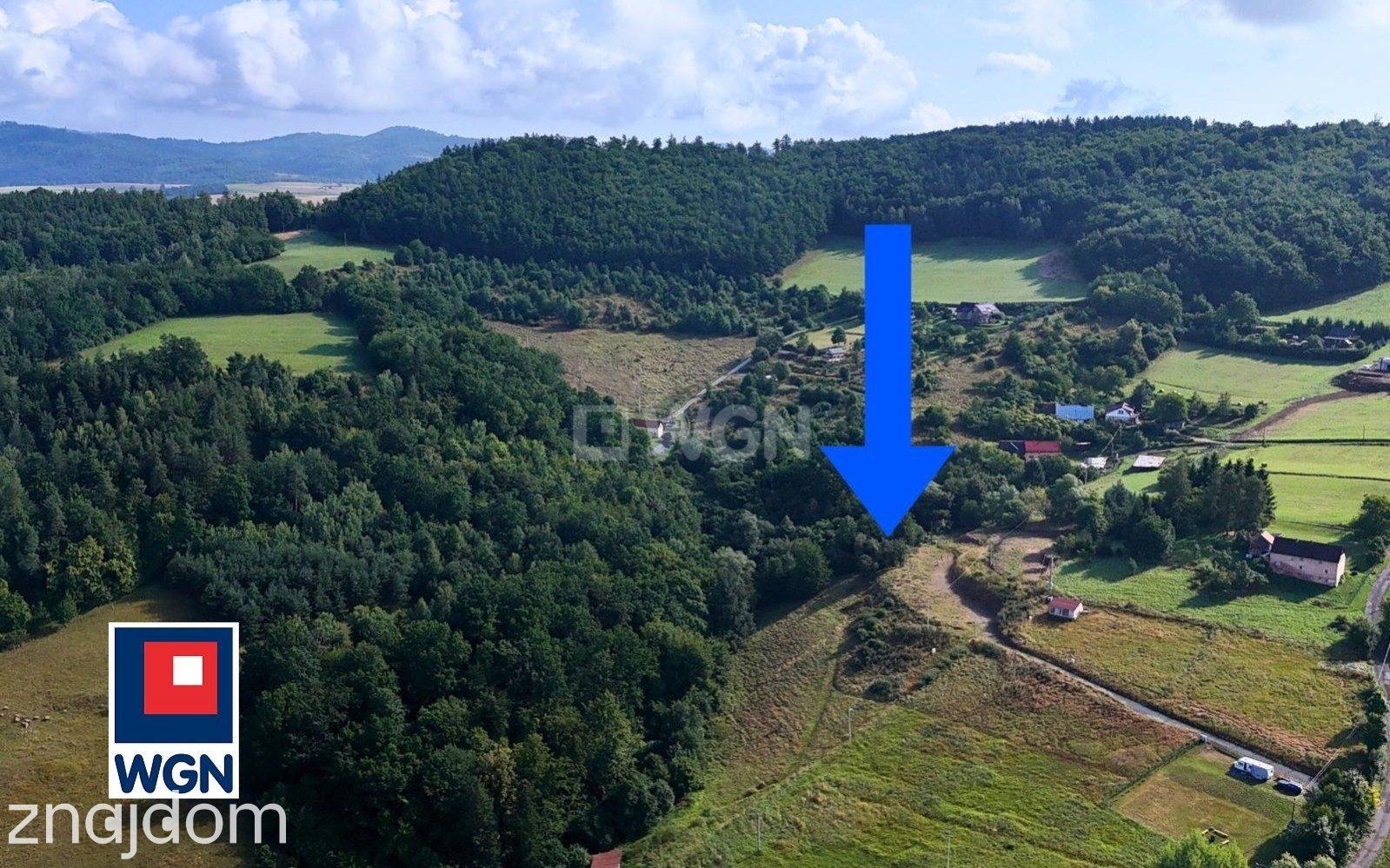 Grunt budowlany jednorodzinny na sprzedaż Święcko - Działka w Święcko-Huberek - góry, las. - zdjęcie 2