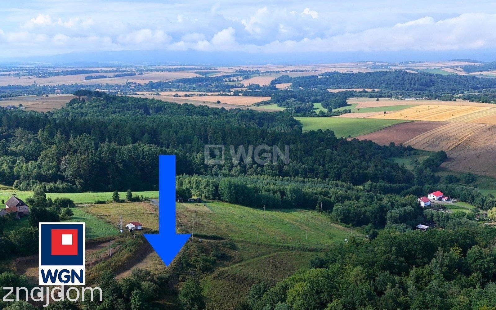 Grunt budowlany jednorodzinny na sprzedaż Święcko - Działka w Święcko-Huberek - góry, las. - zdjęcie 15