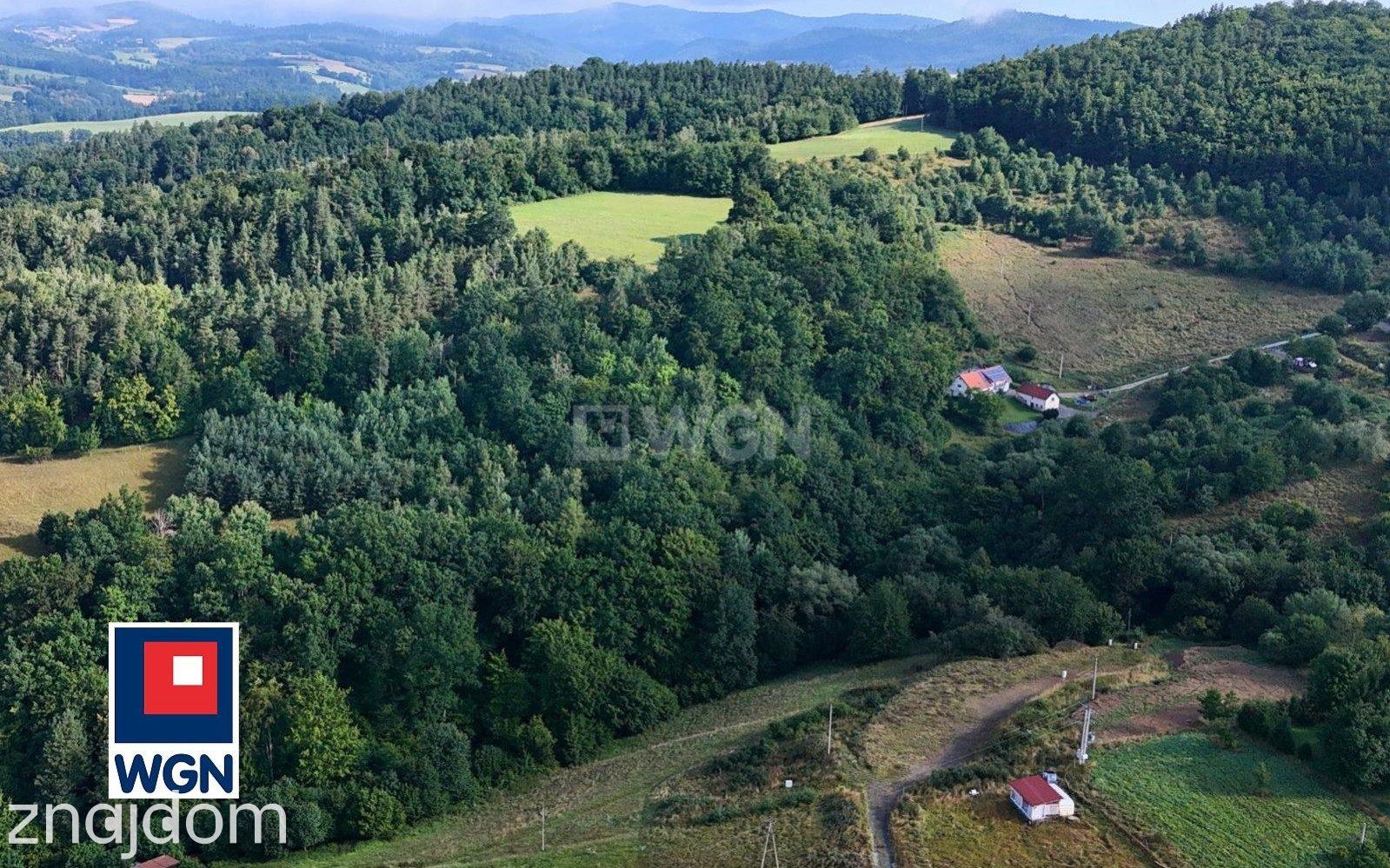 Grunt budowlany jednorodzinny na sprzedaż Święcko - Działka w Święcko-Huberek - góry, las. - zdjęcie 9