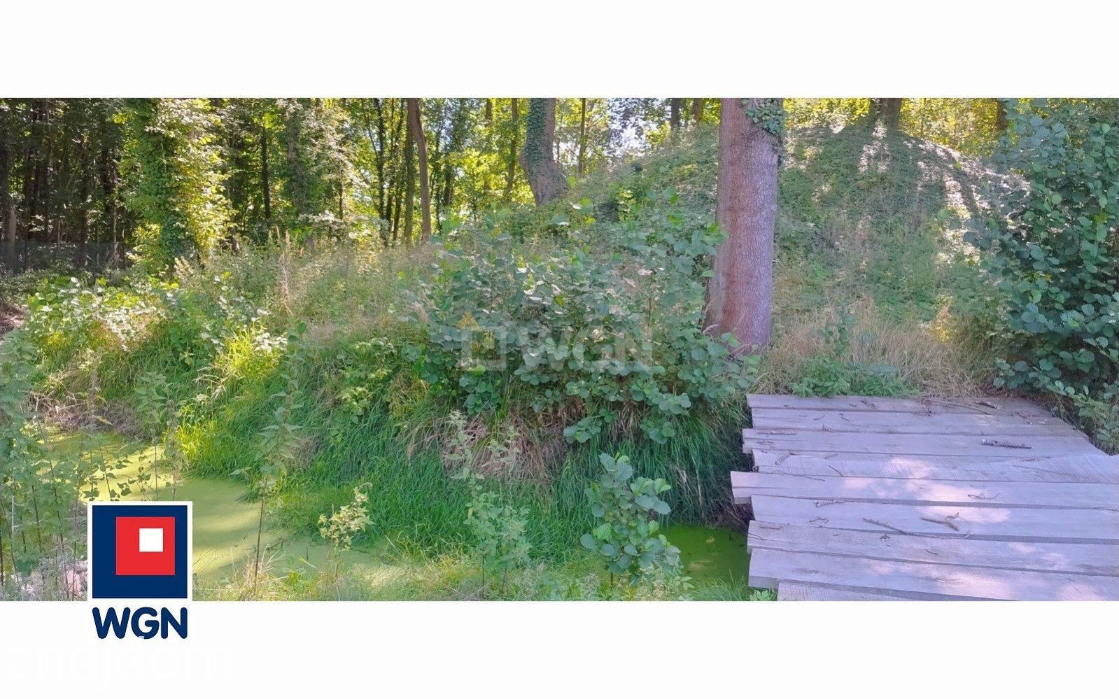 Dom na sprzedaż Radwanice - zdjęcie 12