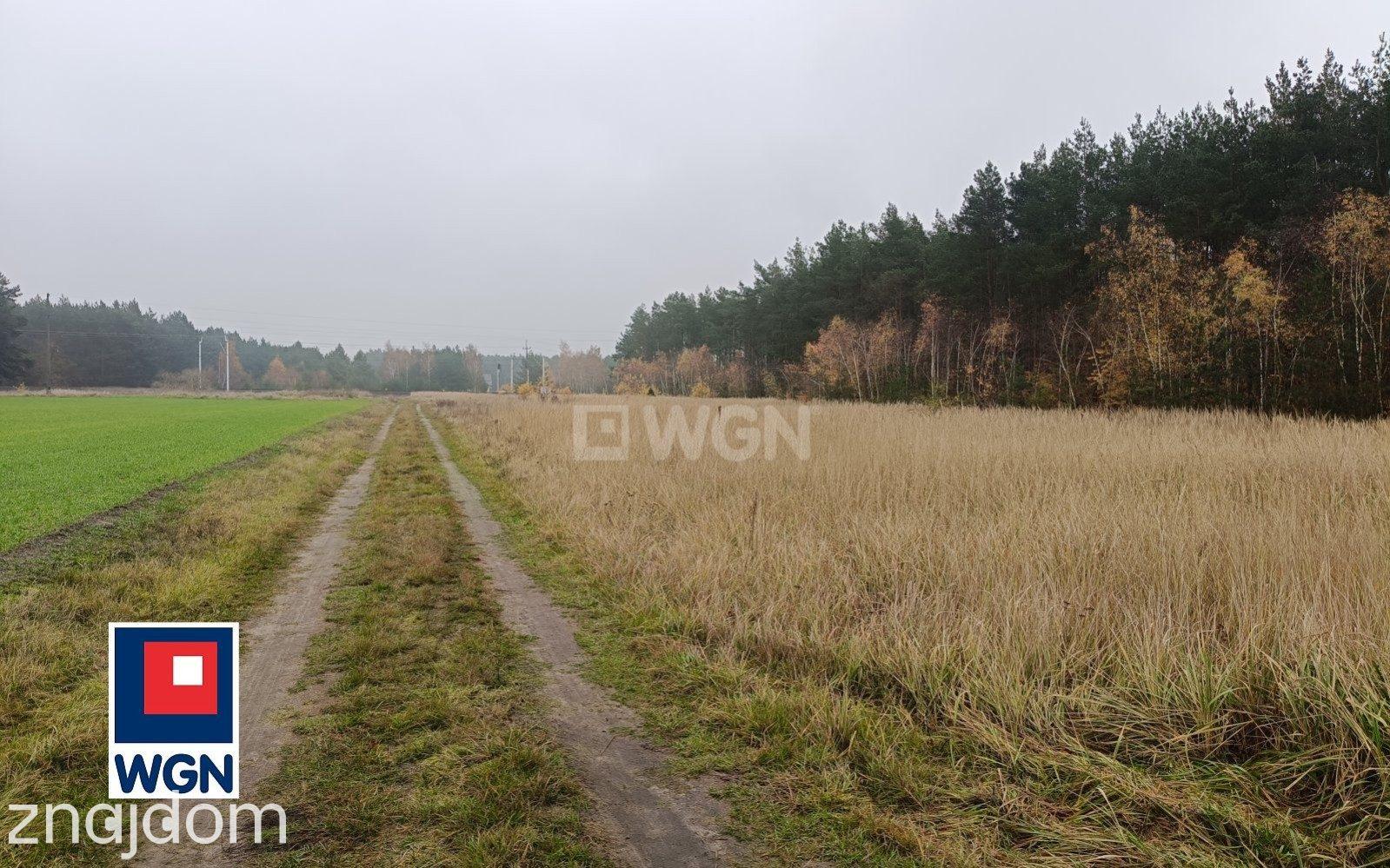 Działka na sprzedaż Borki - zdjęcie 2