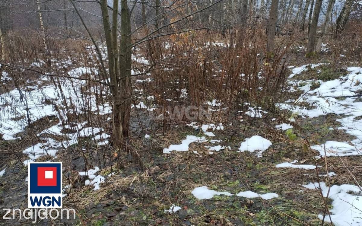 Działka na sprzedaż Płaza - zdjęcie 4