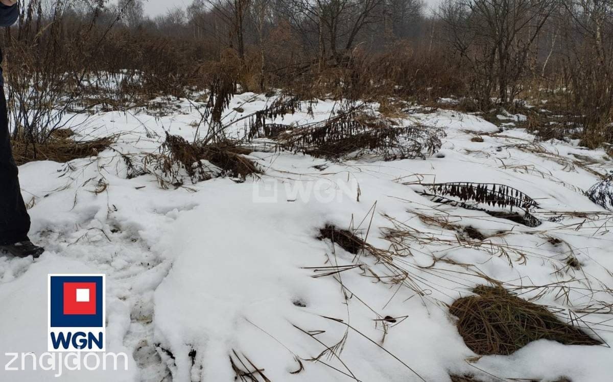 Działka na sprzedaż Płaza - zdjęcie 3