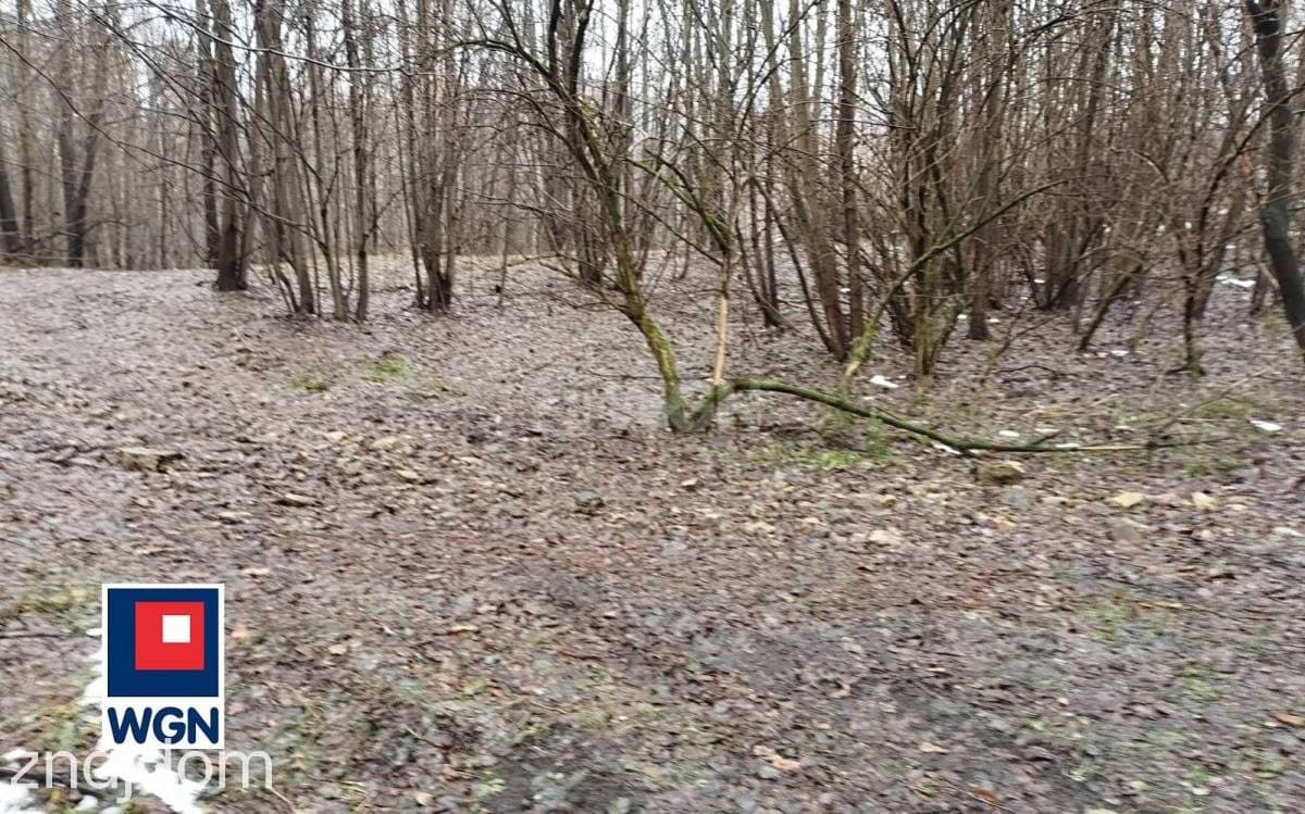 Działka na sprzedaż Płaza - zdjęcie 2