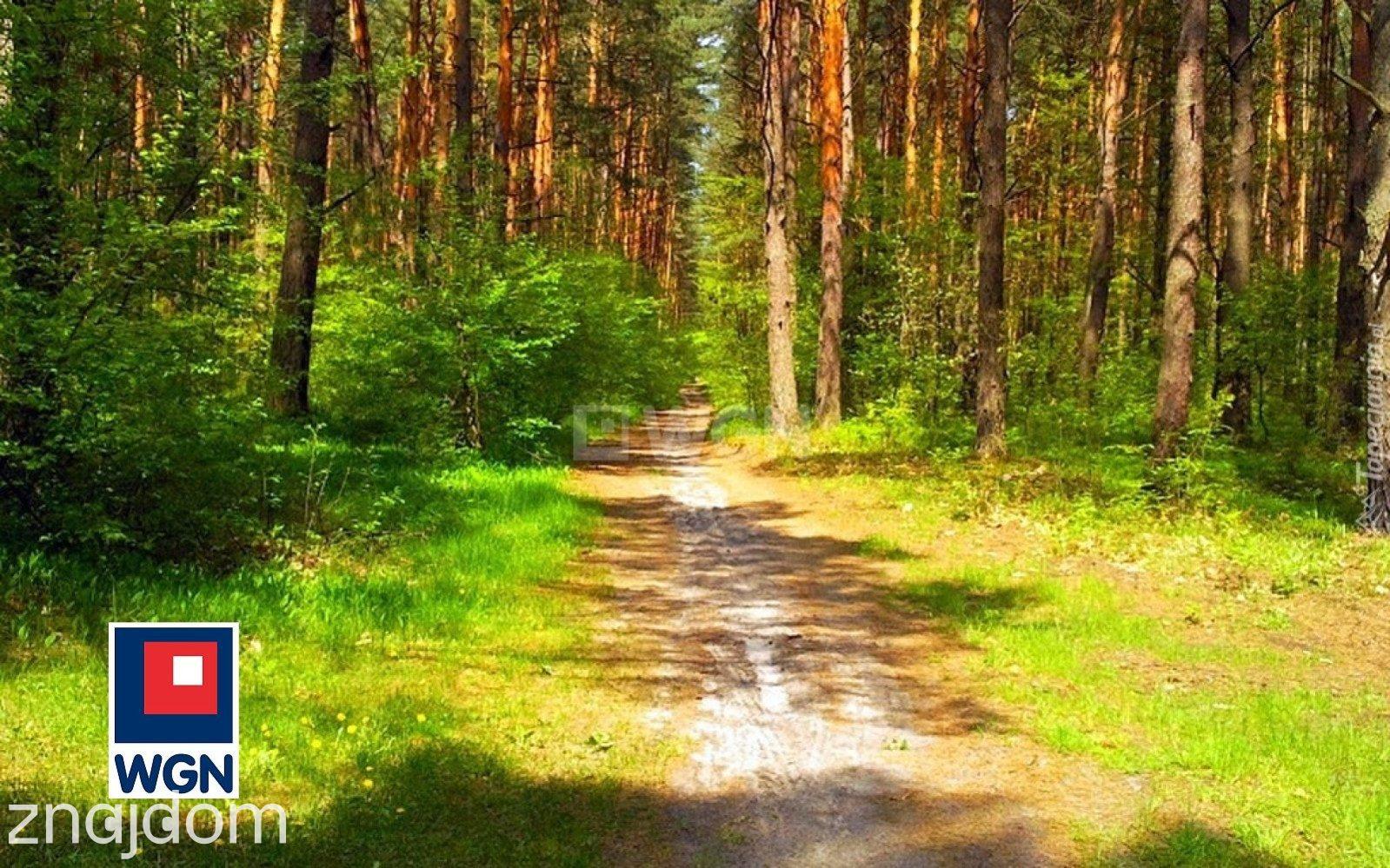 Działka na sprzedaż Sadowiec - zdjęcie 2