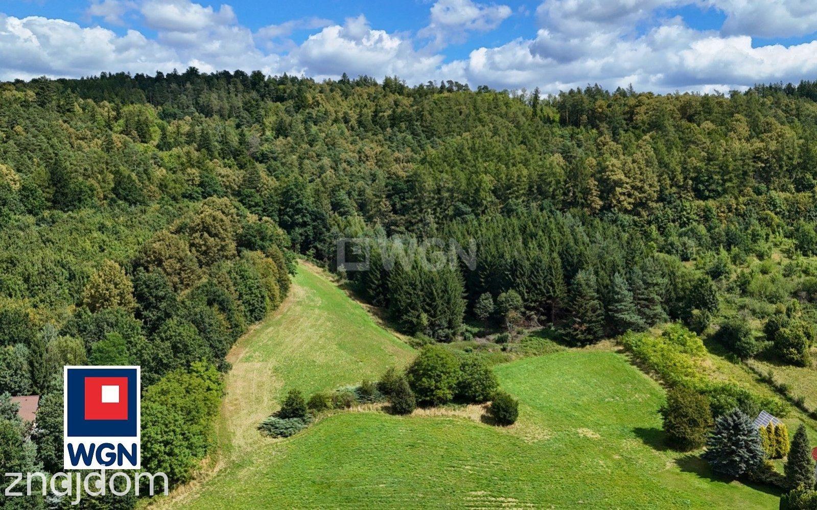 Grunt budowlany jednorodzinny na  sprzedaż Żelazno - Działka inwestycyjna z miejscowym planem. - zdjęcie 6