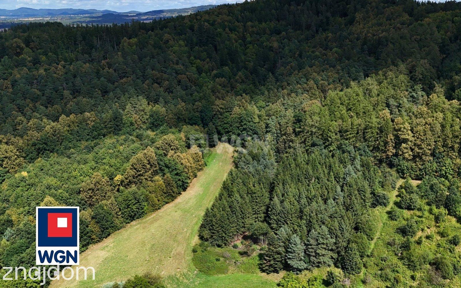 Grunt budowlany jednorodzinny na  sprzedaż Żelazno - Działka inwestycyjna z miejscowym planem. - zdjęcie 5