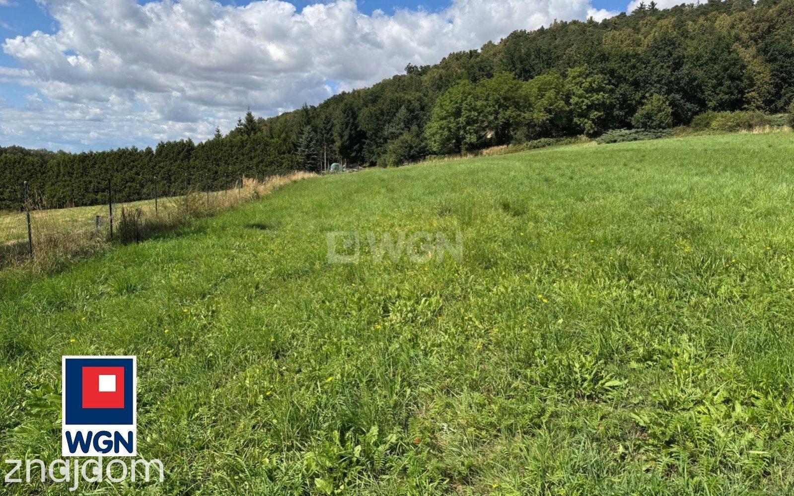 Grunt budowlany jednorodzinny na  sprzedaż Żelazno - Działka inwestycyjna z miejscowym planem. - zdjęcie 12