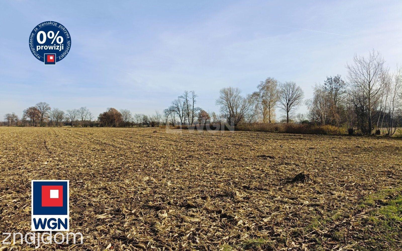 Grunt siedliskowy na  sprzedaż Kuźnica Janiszewska - Gospodarstwo rolne 14,37 ha - zdjęcie 8