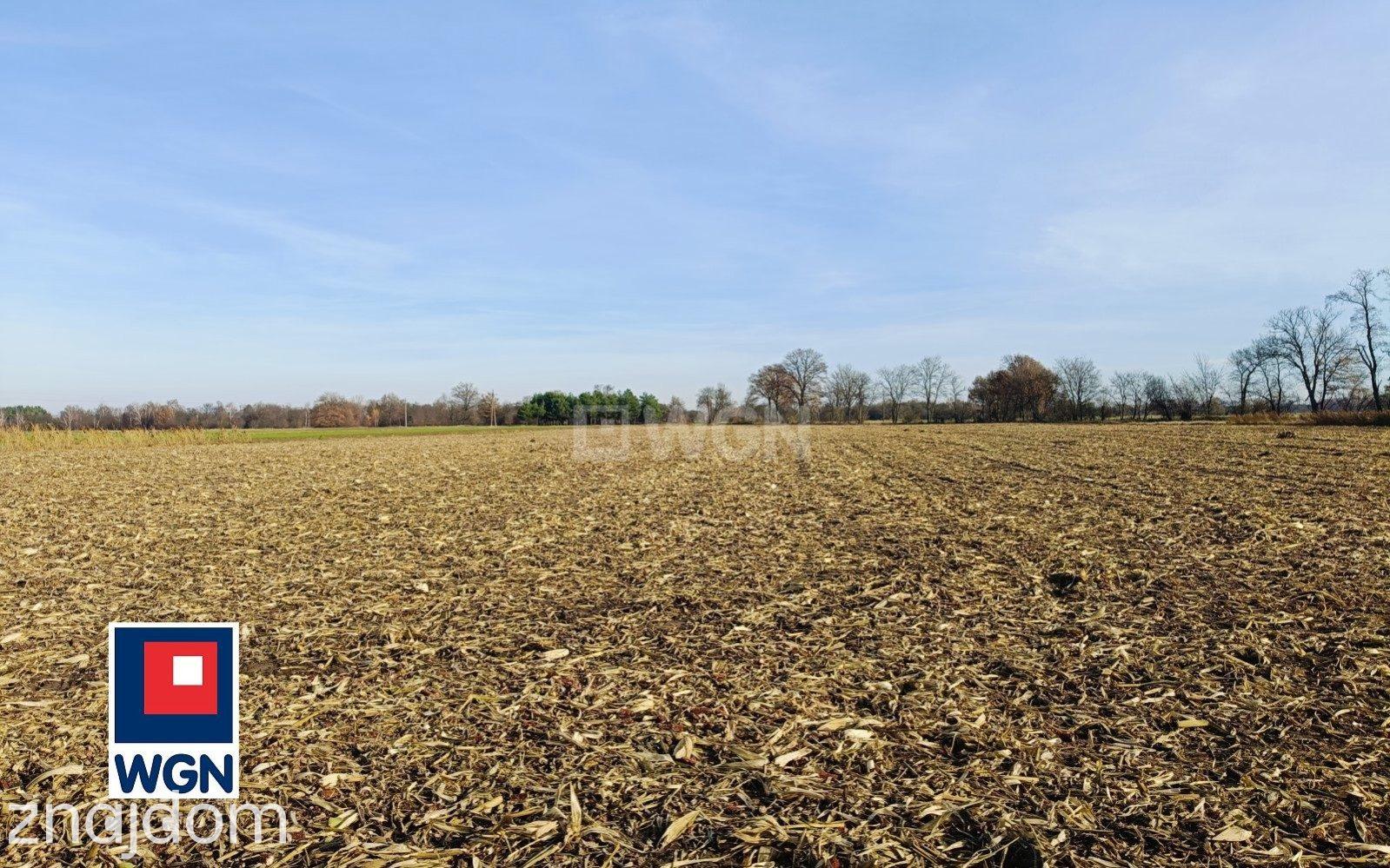 Grunt siedliskowy na  sprzedaż Kuźnica Janiszewska - Gospodarstwo rolne 14,37 ha - zdjęcie 7