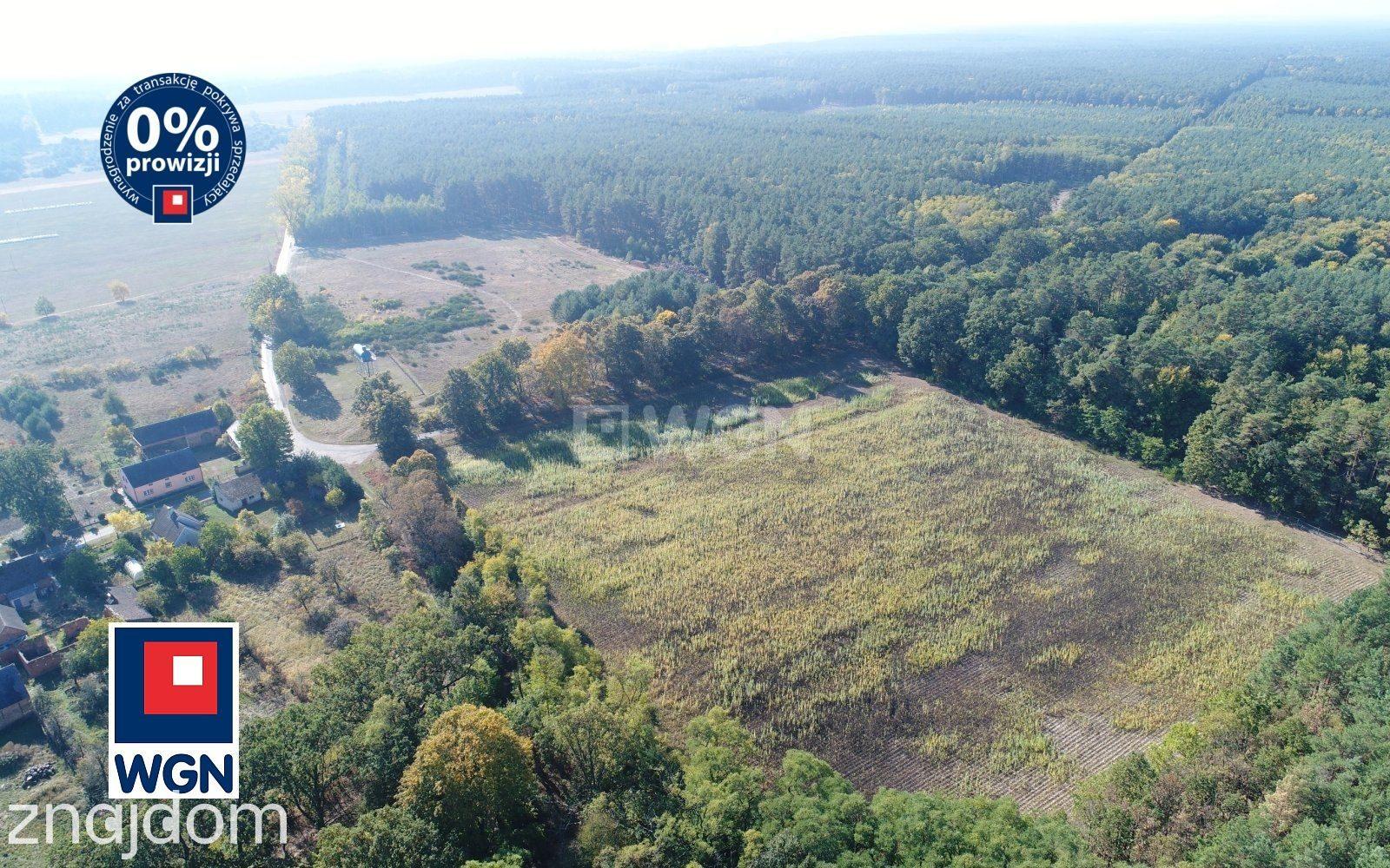Dom na  sprzedaż Grabin - Dom w otoczeniu lasów, Grabin, gmina Bytnica, powiat krośnieński, woj.lubuskie - zdjęcie 7