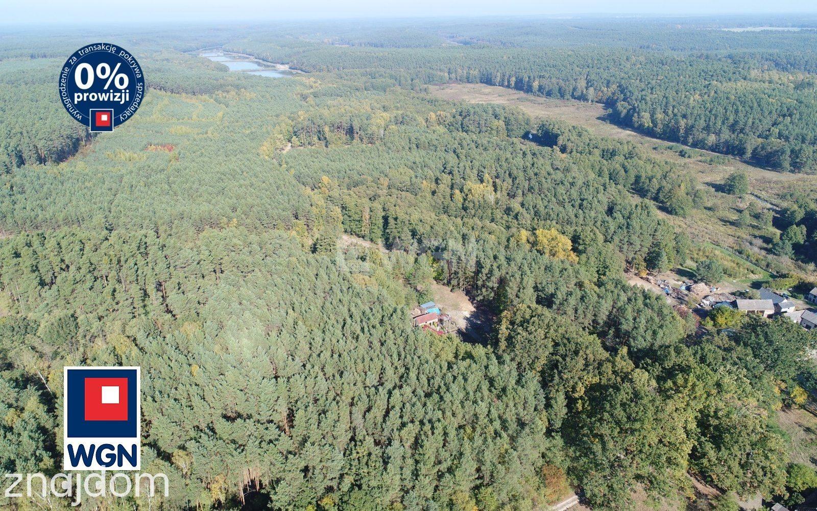 Dom na  sprzedaż Grabin - Dom w otoczeniu lasów, Grabin, gmina Bytnica, powiat krośnieński, woj.lubuskie - zdjęcie 2