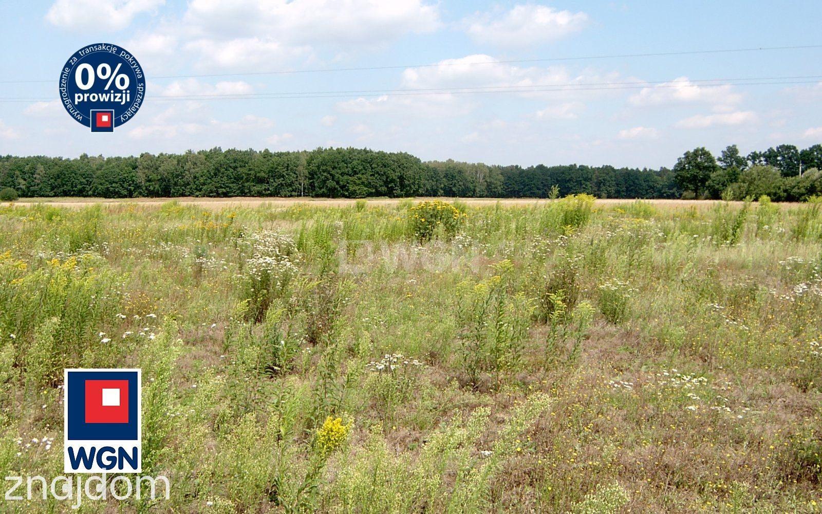 Grunt aktywizacja gospodarcza na sprzedaż Wojska - Działka usługowa 1,5 ha - zdjęcie 6