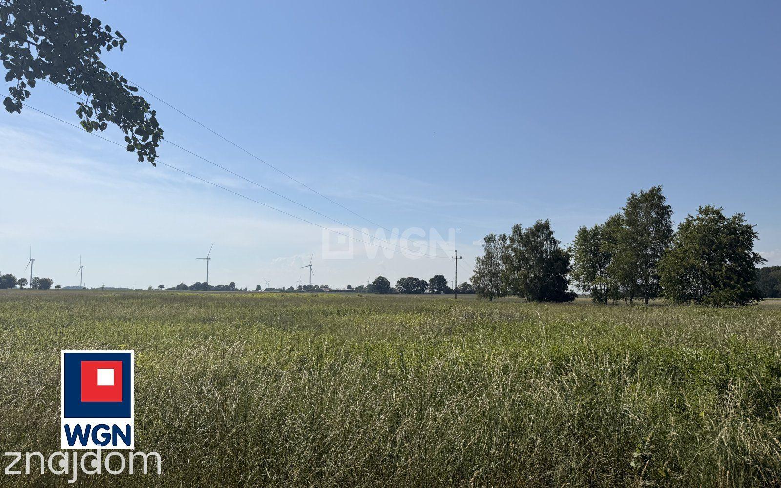 Grunt aktywizacja gospodarcza na sprzedaż Wojska - Działka usługowa 1,5 ha - zdjęcie 5