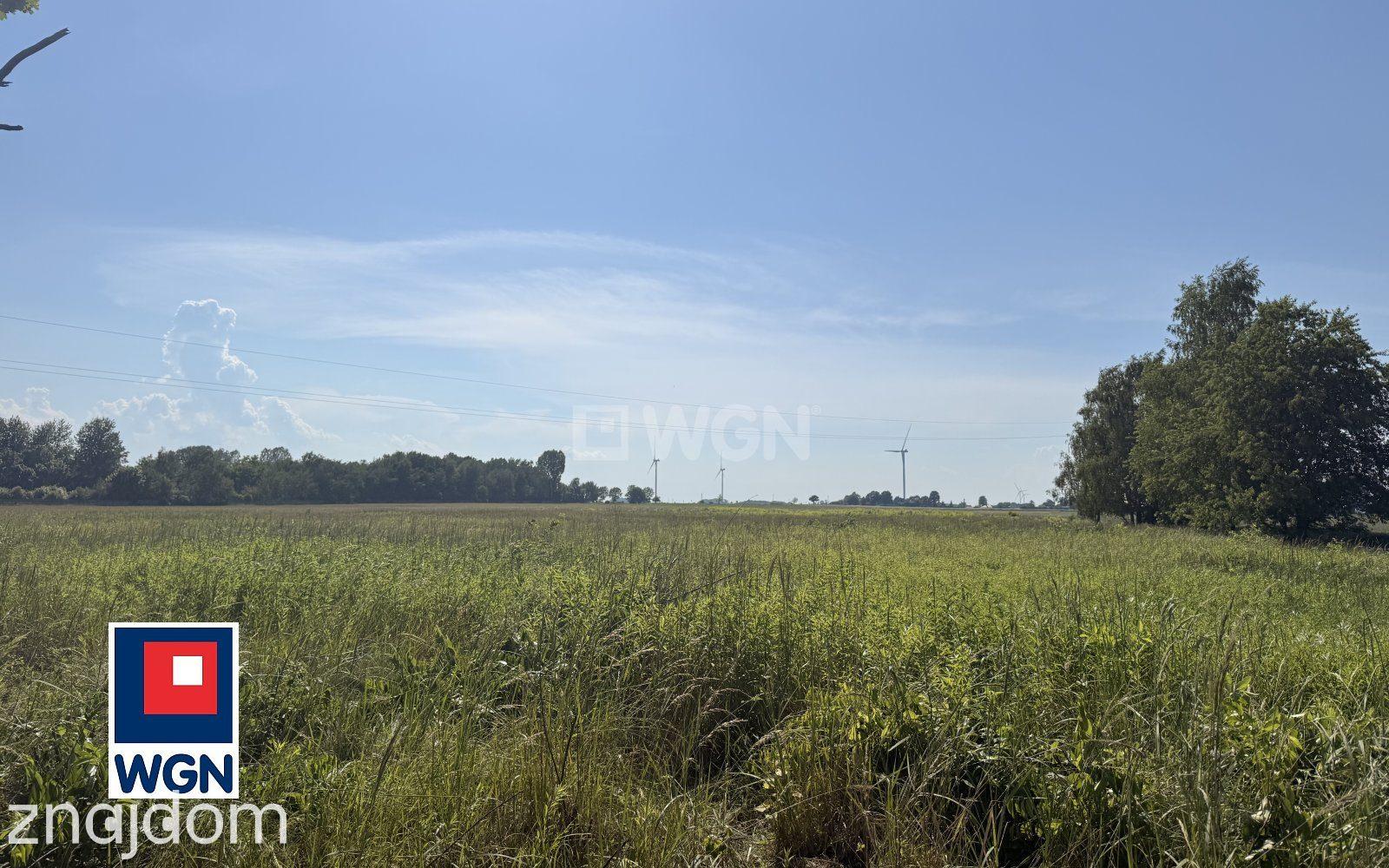 Grunt aktywizacja gospodarcza na sprzedaż Wojska - Działka usługowa 1,5 ha - zdjęcie 4