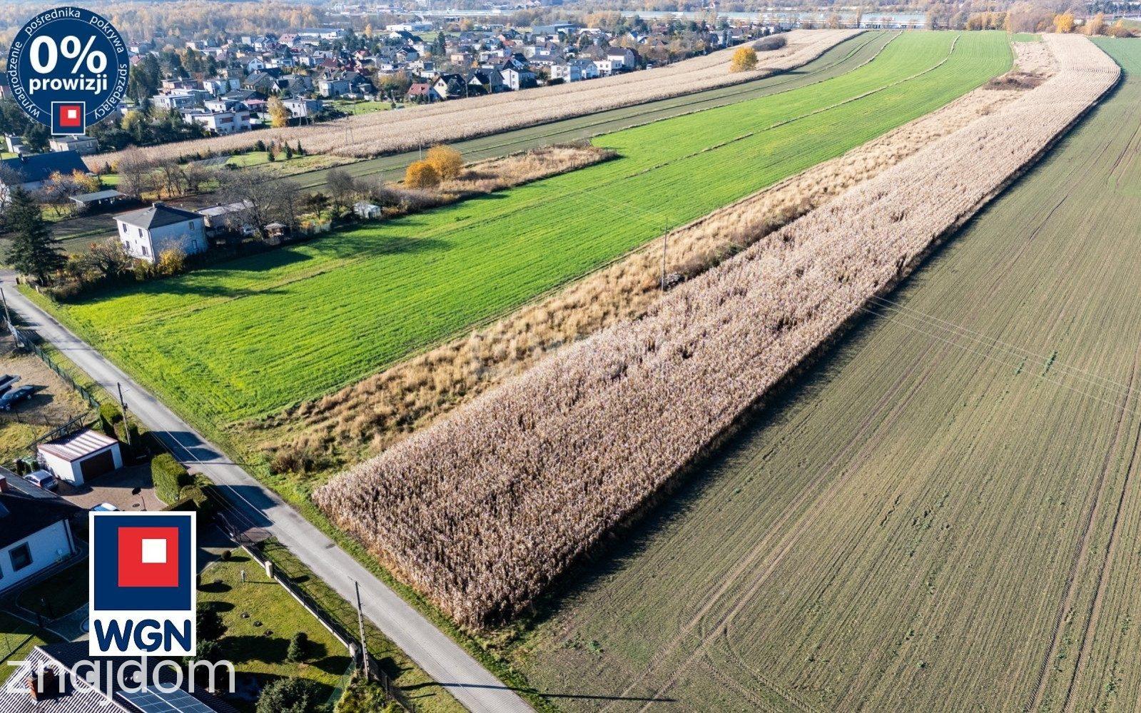 Grunt budowlany jednorodzinny na  sprzedaż Knurów - Na sprzedaż działka budowlana w zielonej okolicy | Knurów Farskie. - zdjęcie 6