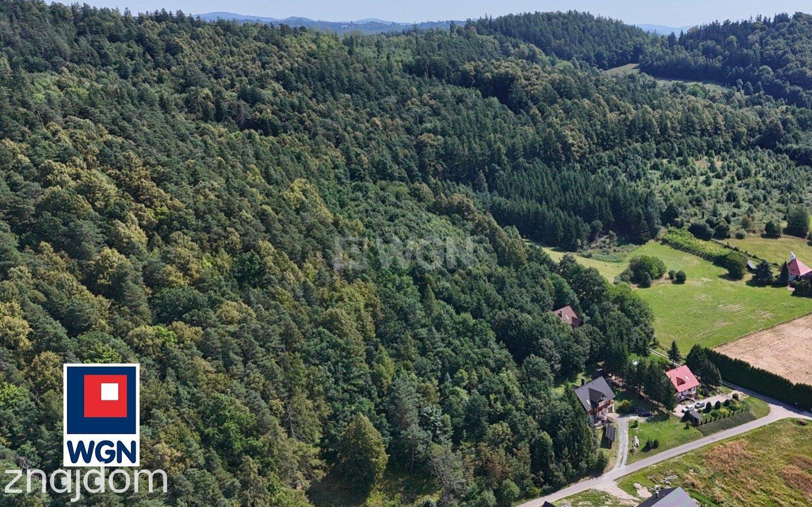 Grunt budowlany jednorodzinny na  sprzedaż Żelazno - Działka budowlana w lesie. - zdjęcie 10