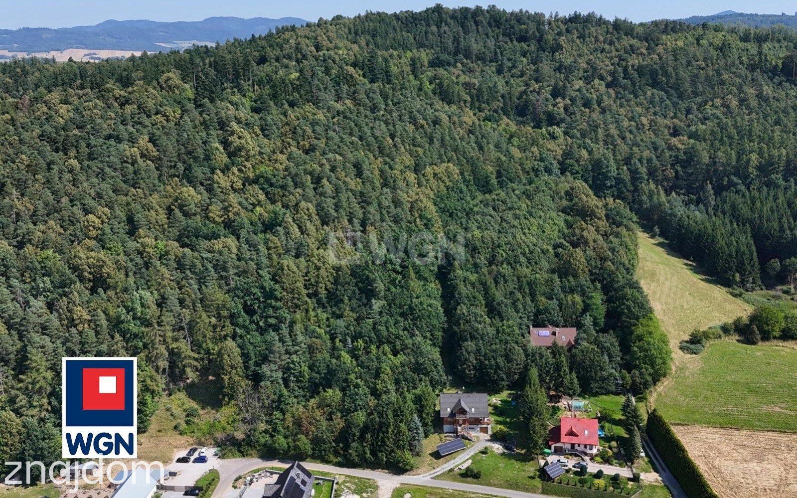 Grunt budowlany jednorodzinny na  sprzedaż Żelazno - Działka budowlana w lesie. - zdjęcie 9