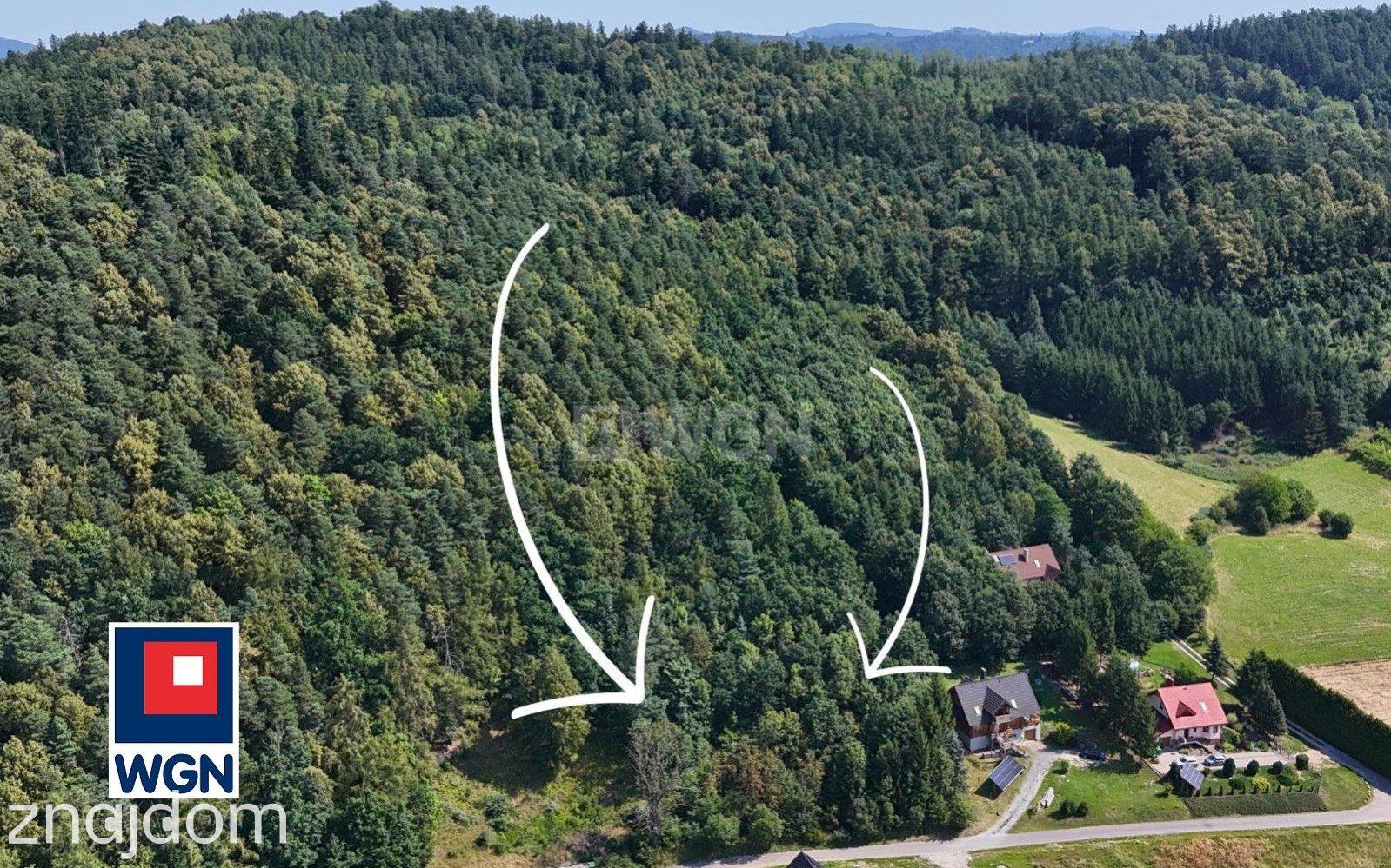 Grunt budowlany jednorodzinny na  sprzedaż Żelazno - Działka budowlana w lesie. - zdjęcie 8