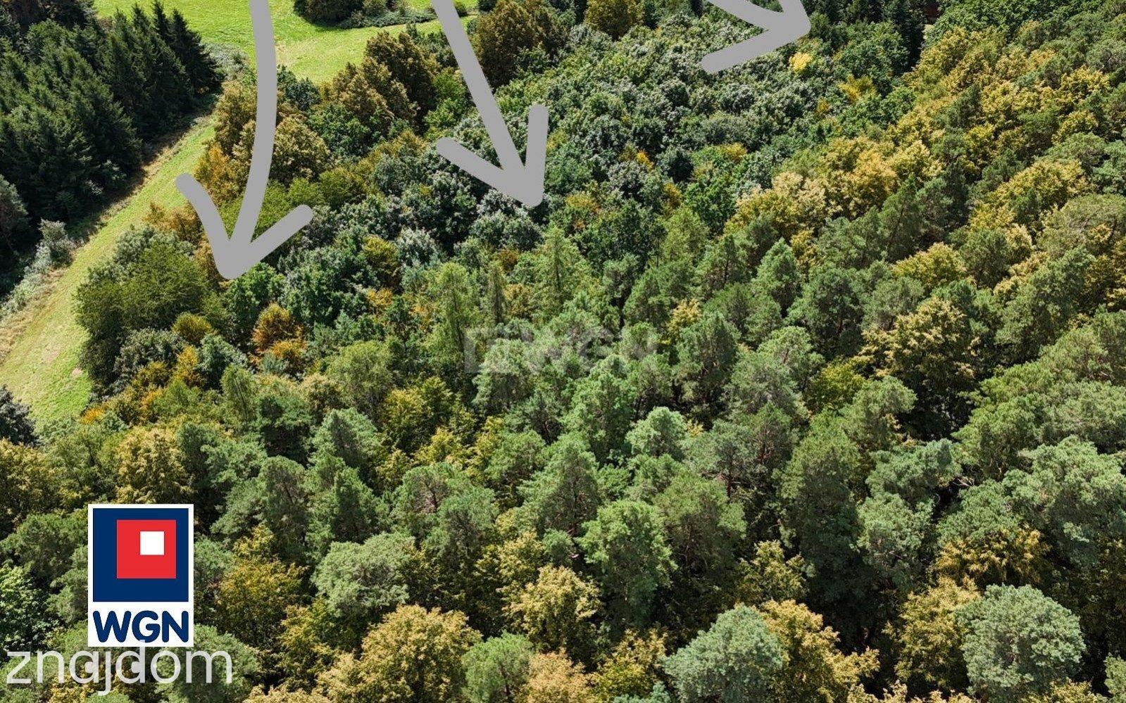 Działka na sprzedaż Żelazno - zdjęcie 10