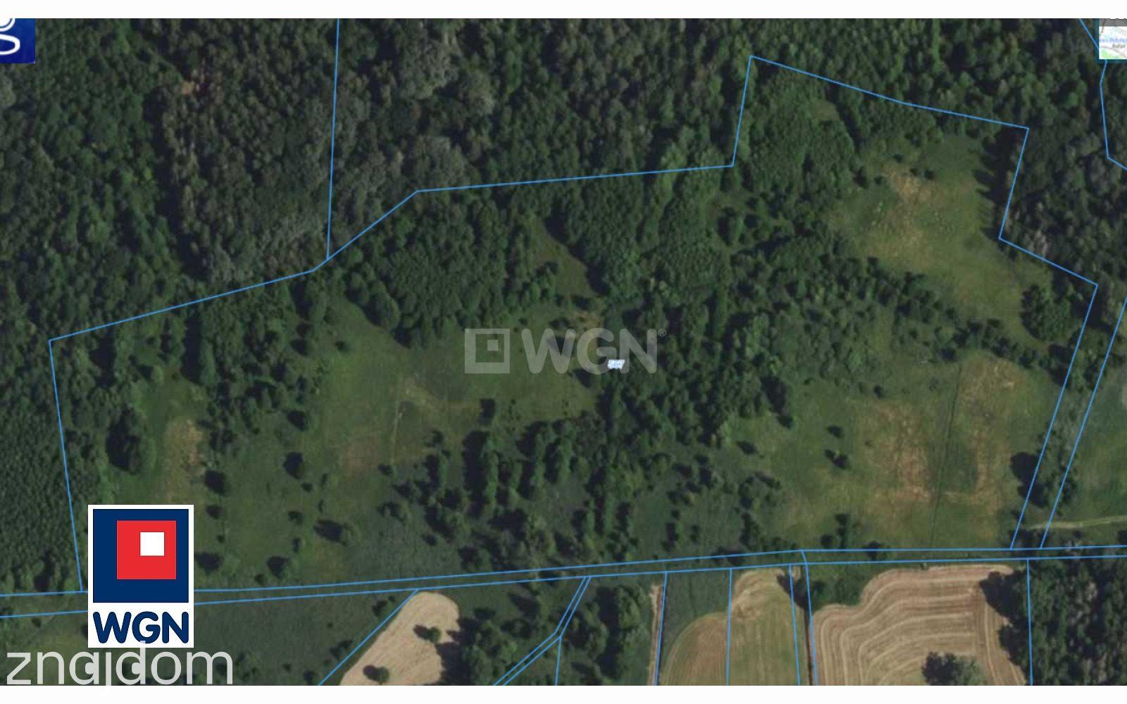 Grunt rolny na sprzedaż Glińsk - 12,9 ha , Działka rolno inwestycyjna Glińsk, powiat świebodziński,woj. lubuskie - zdjęcie 3