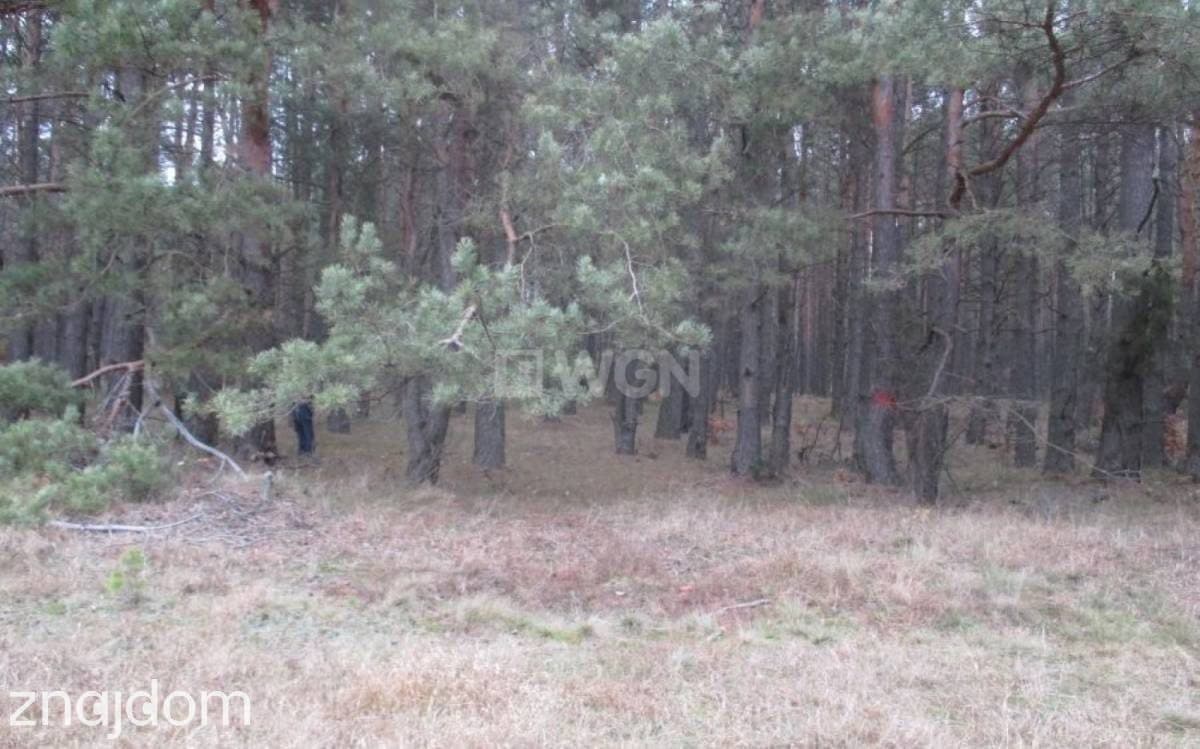 Działka na sprzedaż Łutowiec - zdjęcie 5