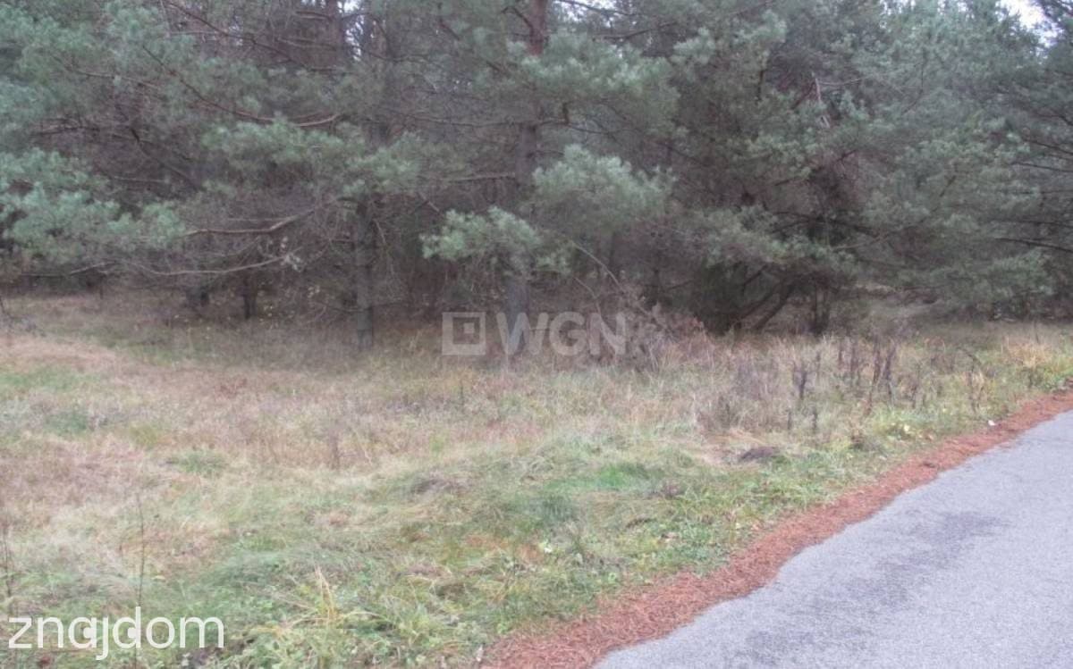 Działka na sprzedaż Łutowiec - zdjęcie 2
