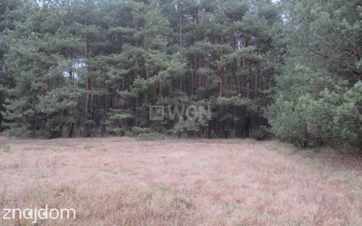 Działka na sprzedaż Łutowiec