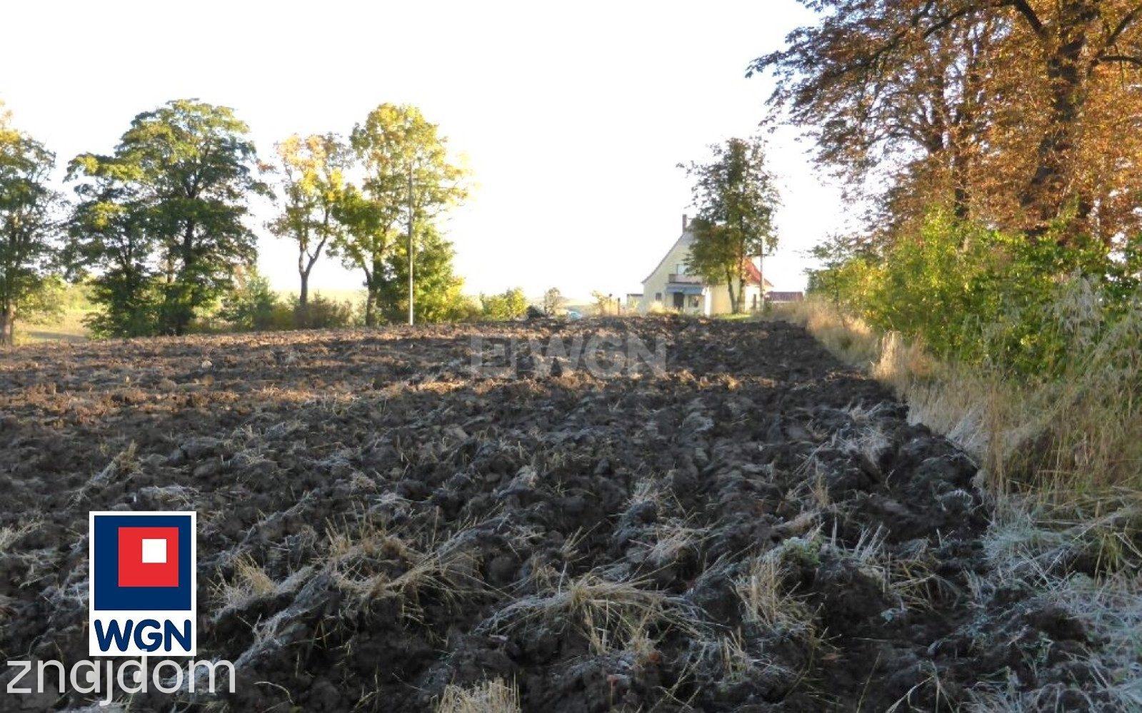 Działka na sprzedaż Dzierzgoń - zdjęcie 3