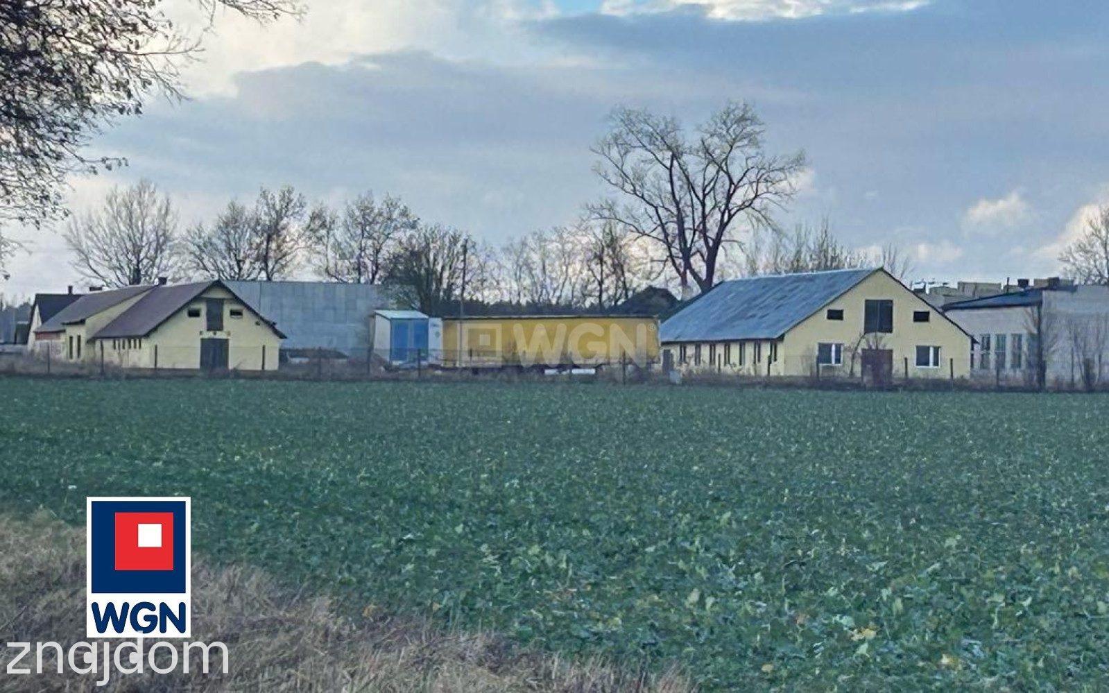 Grunt aktywizacja gospodarcza na sprzedaż Wiesiołów - Duża działka inwestycyjna w pobliżu dwóch autostrad. - zdjęcie 5