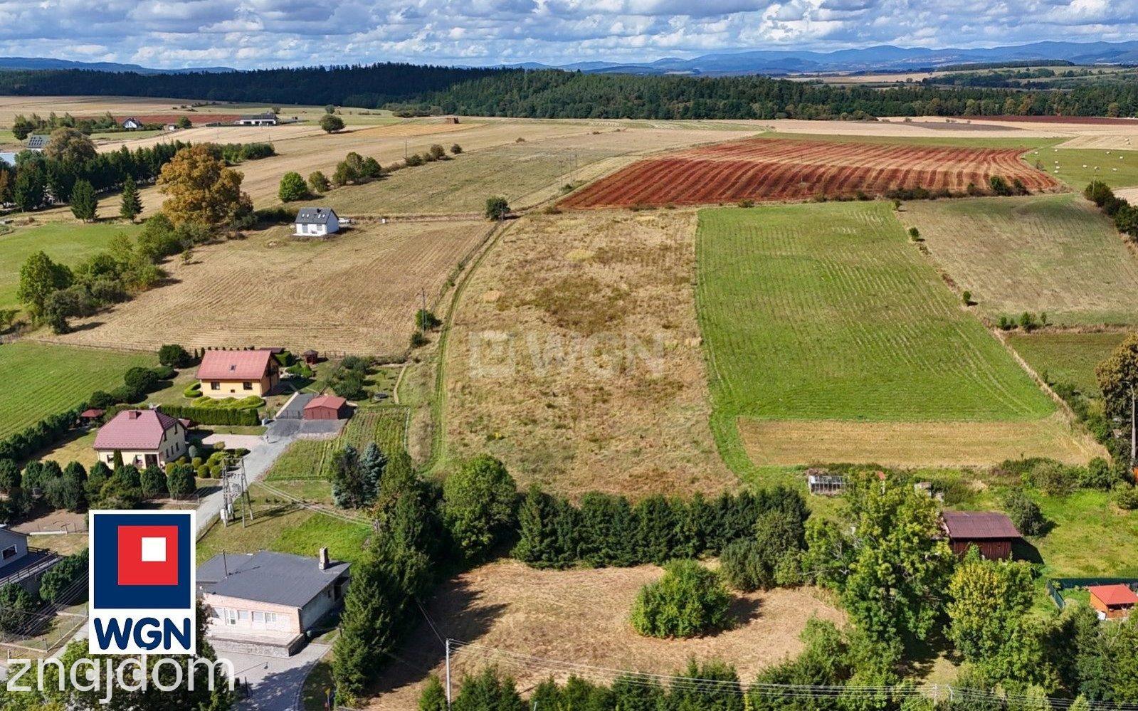 Działka na sprzedaż Stara Łomnica - zdjęcie 6