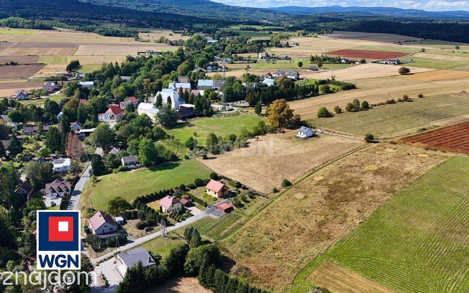Działka na sprzedaż Stara Łomnica - zdjęcie 4