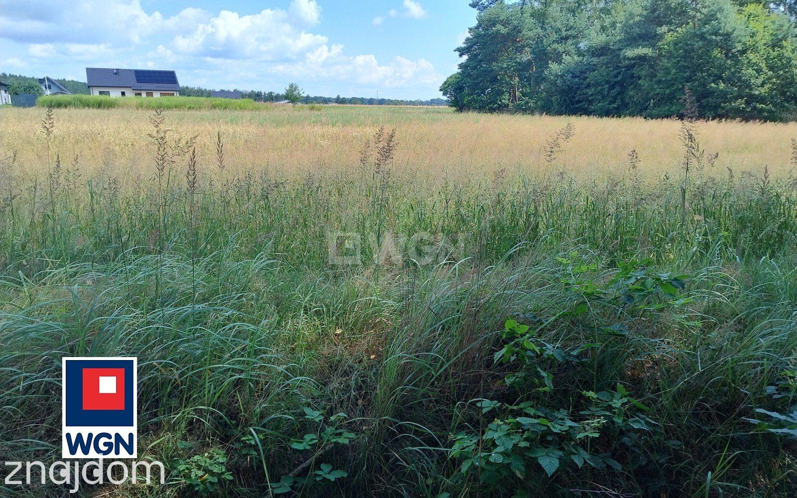 Grunt budowlany jednorodzinny na sprzedaż Orzesze - Atrakcyjna działka 3750 m2 | 2200 m2 pod zabudowę | ul. S. Lema - zdjęcie 10