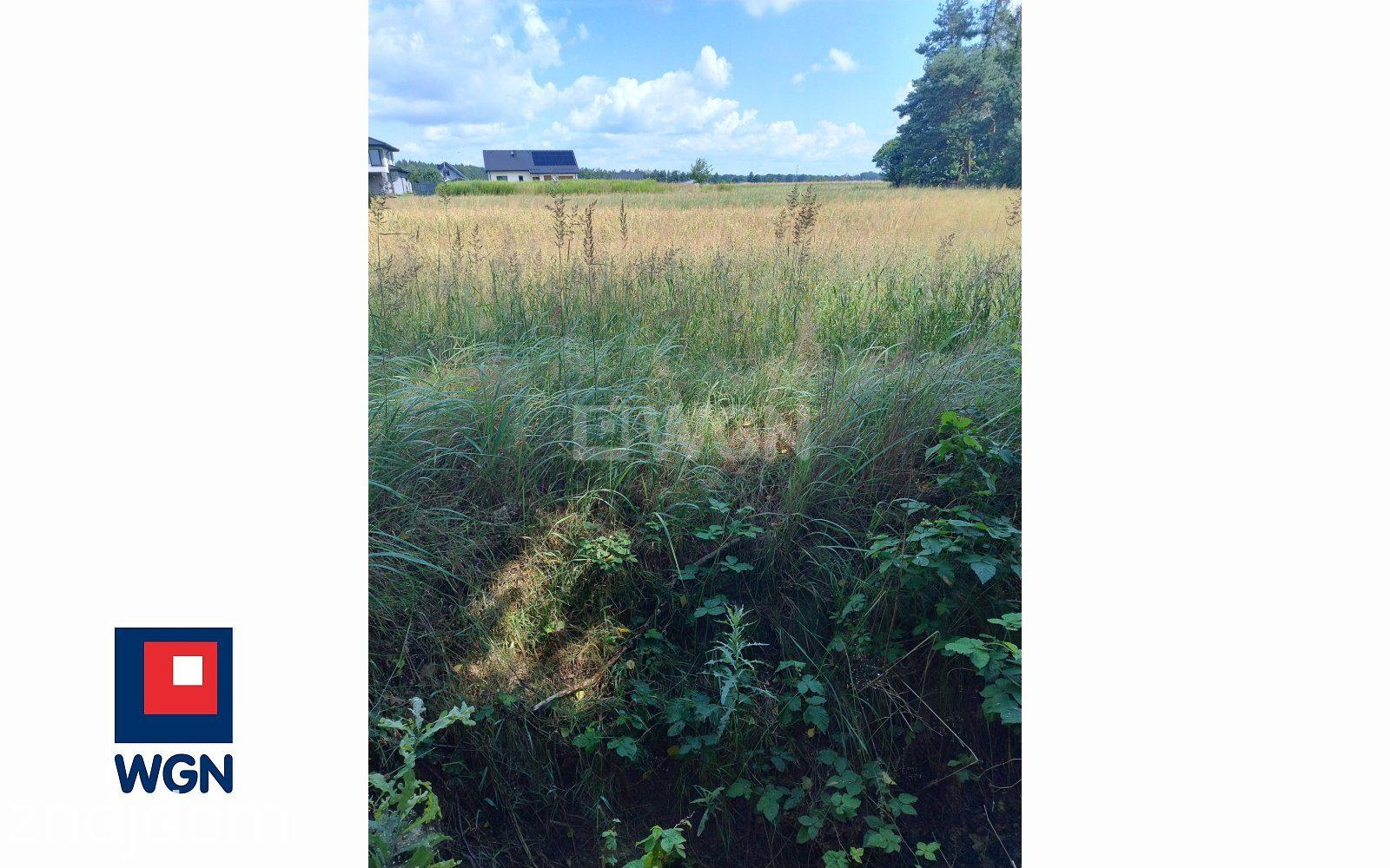 Grunt budowlany jednorodzinny na sprzedaż Orzesze - Atrakcyjna działka 3750 m2 | 2200 m2 pod zabudowę | ul. S. Lema - zdjęcie 8