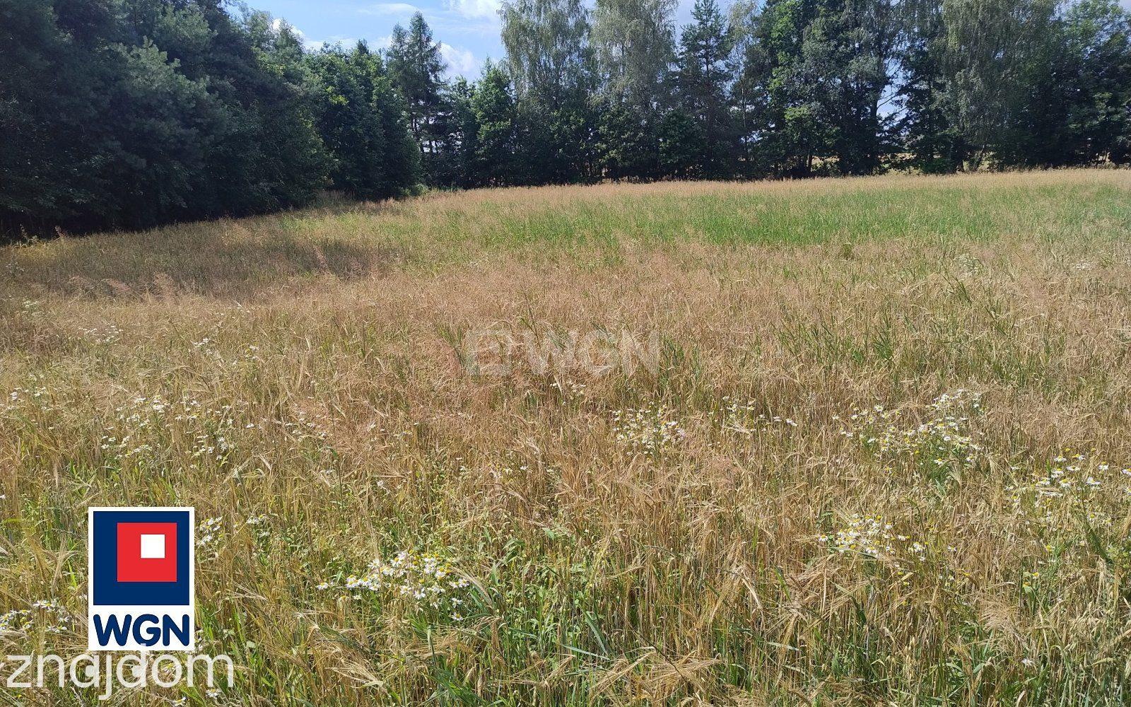 Grunt budowlany jednorodzinny na sprzedaż Orzesze - Atrakcyjna działka 3750 m2 | 2200 m2 pod zabudowę | ul. S. Lema - zdjęcie 4