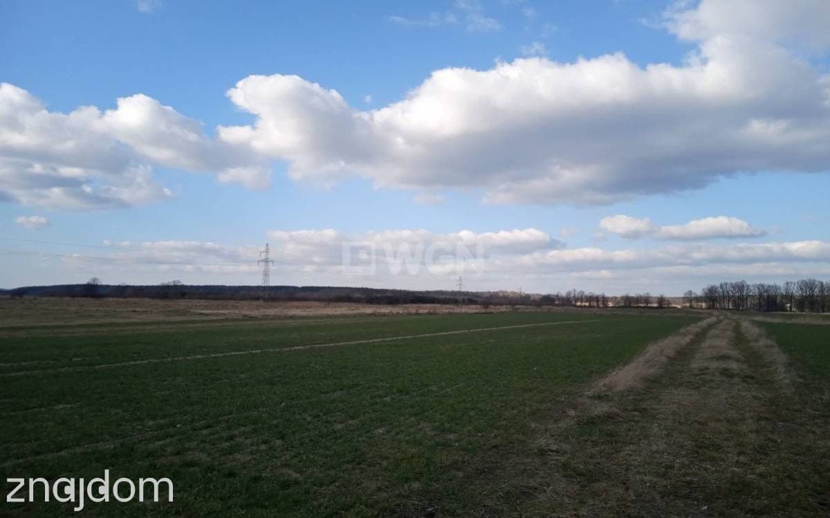 Działka na sprzedaż Grzymalin - zdjęcie 3